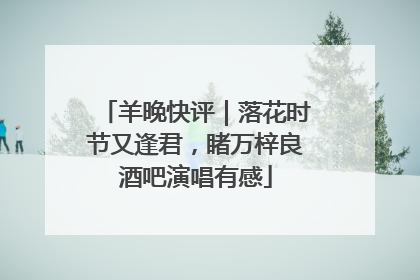 羊晚快评｜落花时节又逢君，睹万梓良酒吧演唱有感