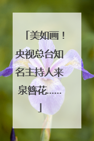 美如画！央视总台知名主持人来泉簪花……