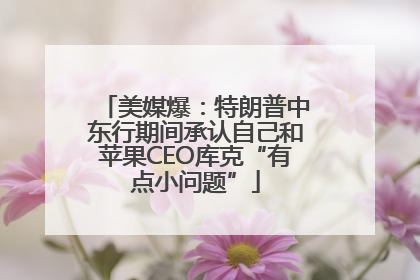 美媒爆：特朗普中东行期间承认自己和苹果CEO库克“有点小问题”