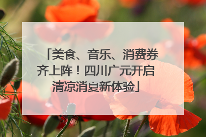美食、音乐、消费券齐上阵！四川广元开启清凉消夏新体验