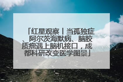 红星观察丨当孤独症、阿尔茨海默病、脑胶质瘤遇上脑机接口，成都科研改变医学图景