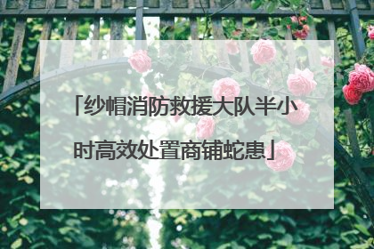 纱帽消防救援大队半小时高效处置商铺蛇患
