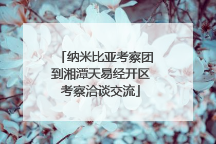 纳米比亚考察团到湘潭天易经开区考察洽谈交流