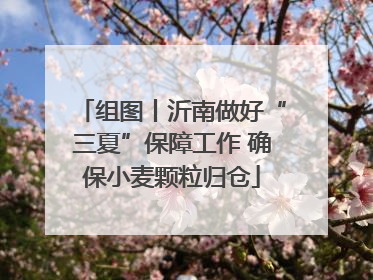 组图丨沂南做好“三夏”保障工作 确保小麦颗粒归仓