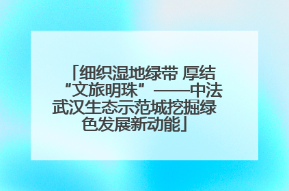 细织湿地绿带 厚结“文旅明珠”——中法武汉生态示范城挖掘绿色发展新动能