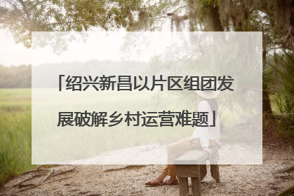 绍兴新昌以片区组团发展破解乡村运营难题