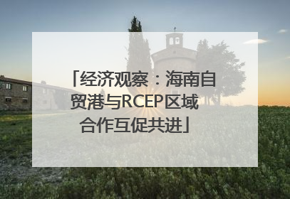 经济观察：海南自贸港与RCEP区域合作互促共进