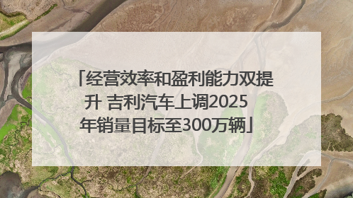 经营效率和盈利能力双提升 吉利汽车上调2025年销量目标至300万辆