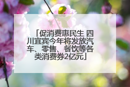 促消费惠民生 四川宜宾今年将发放汽车、零售、餐饮等各类消费券2亿元