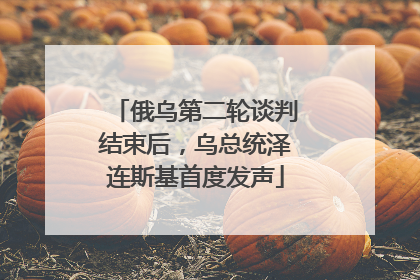 俄乌第二轮谈判结束后，乌总统泽连斯基首度发声