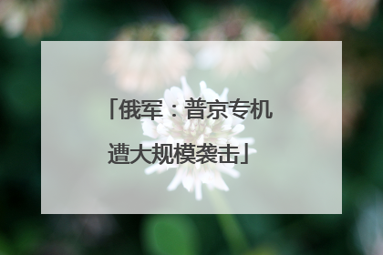 俄军：普京专机遭大规模袭击