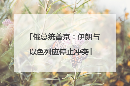 俄总统普京：伊朗与以色列应停止冲突