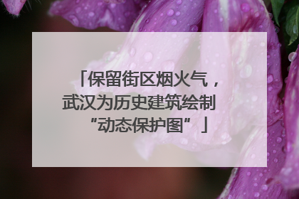 保留街区烟火气，武汉为历史建筑绘制“动态保护图”
