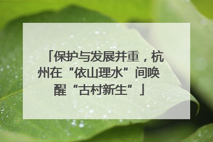 保护与发展并重，杭州在“依山理水”间唤醒“古村新生”