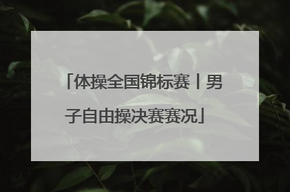 体操全国锦标赛丨男子自由操决赛赛况