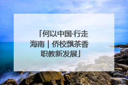何以中国·行走海南｜侨校飘茶香 职教新发展