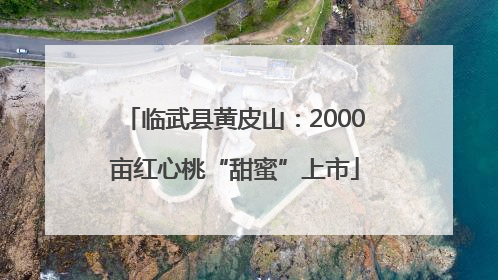 临武县黄皮山：2000亩红心桃“甜蜜”上市