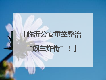 临沂公安重拳整治“飙车炸街”！