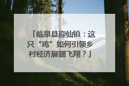 临泉县迎仙镇：这只“鸡”如何引领乡村经济展翅飞翔？
