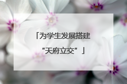 为学生发展搭建“天府立交”