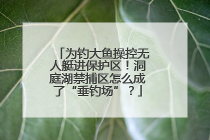 为钓大鱼操控无人艇进保护区！洞庭湖禁捕区怎么成了“垂钓场”？