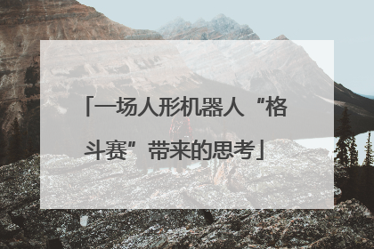 一场人形机器人“格斗赛”带来的思考