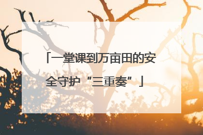 一堂课到万亩田的安全守护“三重奏”