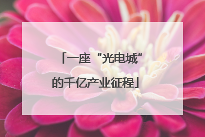 一座“光电城”的千亿产业征程