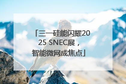 三一硅能闪耀2025 SNEC展，智能微网成焦点