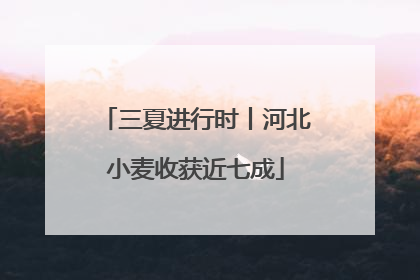 三夏进行时丨河北小麦收获近七成