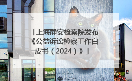 上海静安检察院发布《公益诉讼检察工作白皮书（2024）》