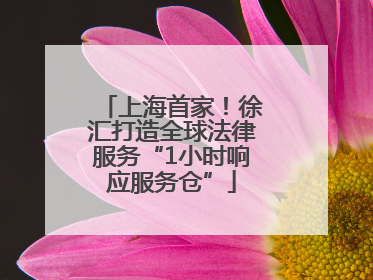 上海首家！徐汇打造全球法律服务“1小时响应服务仓”