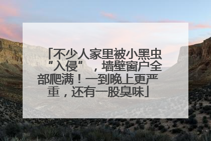 不少人家里被小黑虫“入侵”，墙壁窗户全部爬满！一到晚上更严重，还有一股臭味