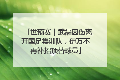 世预赛｜武磊因伤离开国足集训队，伊万不再补招顶替球员