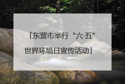 东营市举行“六·五”世界环境日宣传活动