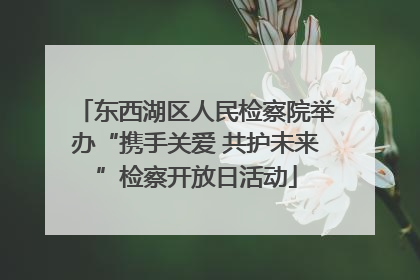东西湖区人民检察院举办“携手关爱 共护未来”检察开放日活动