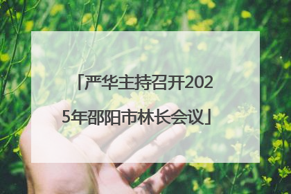 严华主持召开2025年邵阳市林长会议