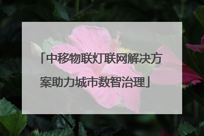 中移物联灯联网解决方案助力城市数智治理
