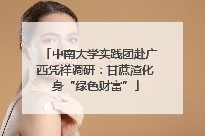 中南大学实践团赴广西凭祥调研：甘蔗渣化身“绿色财富”