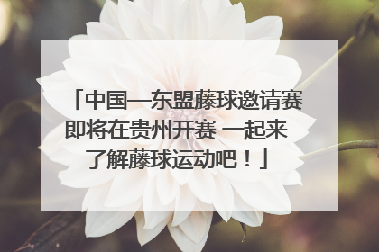 中国—东盟藤球邀请赛即将在贵州开赛 一起来了解藤球运动吧！