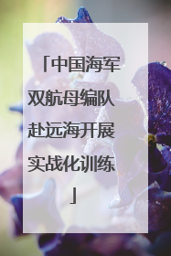 中国海军双航母编队赴远海开展实战化训练