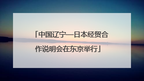中国辽宁—日本经贸合作说明会在东京举行