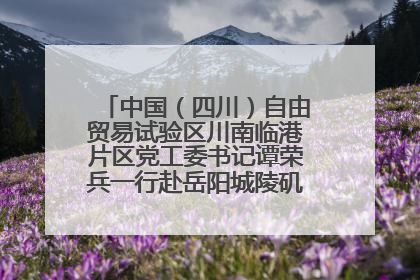 中国（四川）自由贸易试验区川南临港片区党工委书记谭荣兵一行赴岳阳城陵矶综保区考察
