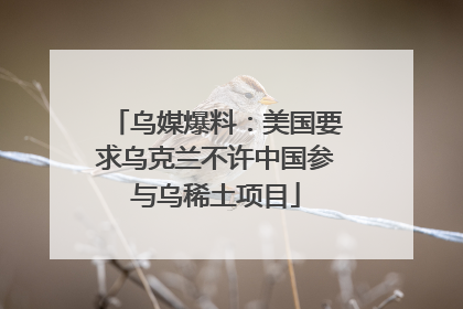 乌媒爆料：美国要求乌克兰不许中国参与乌稀土项目