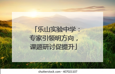 乐山实验中学：专家引领明方向，课题研讨促提升