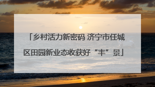 乡村活力新密码 济宁市任城区田园新业态收获好“丰”景