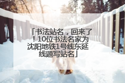 书法站名，回来了！10位书法名家为沈阳地铁1号线东延线题写站名