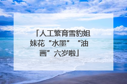 人工繁育雪豹姐妹花“水墨”“油画”六岁啦