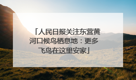 人民日报关注东营黄河口候鸟栖息地：更多飞鸟在这里安家