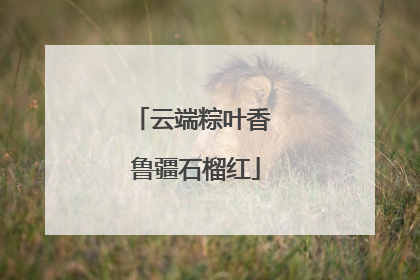 云端粽叶香 鲁疆石榴红
